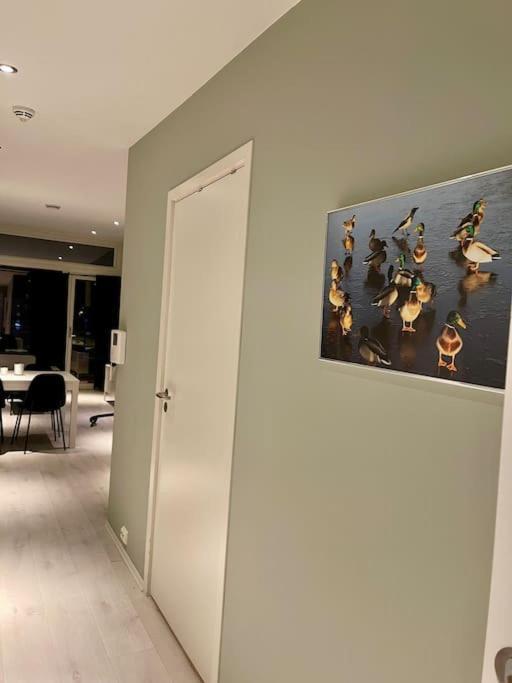 Balsfjordvinden Appartamento Tromsø